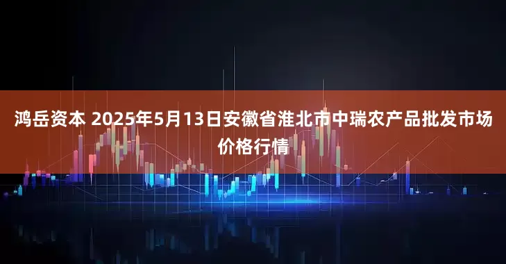 鸿岳资本 2025年5月13日安徽省淮北市中瑞农产品批发市场价格行情